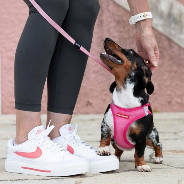 EzyDog FORMFIT® Mesh Dog Harness in Pink