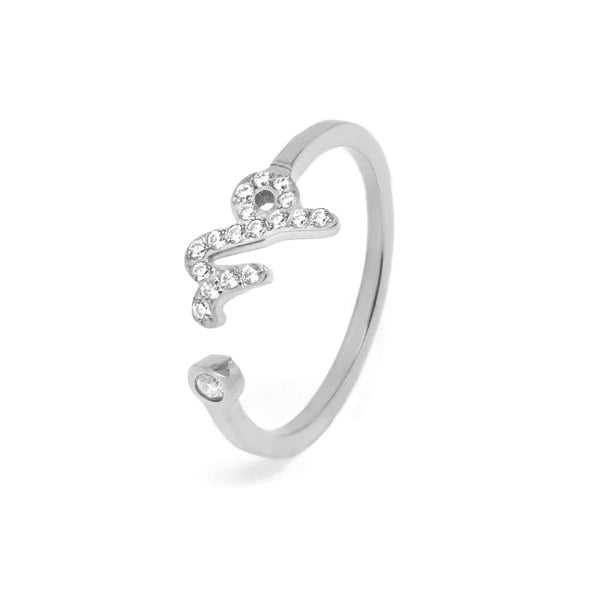 Say It With Capricorn Ring with CZ Stones - Silver Plated