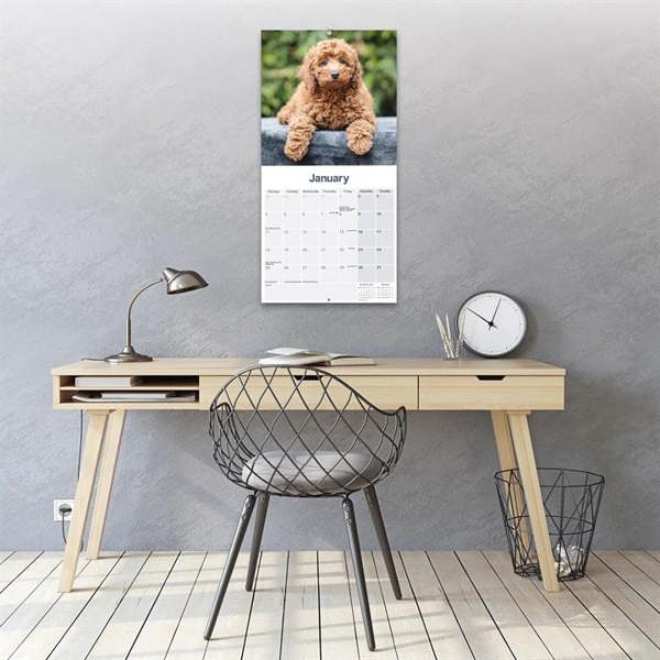 Cockapoo Puppies Calendar 2027, Wall Calendars, Month To View, Dogs, Gift