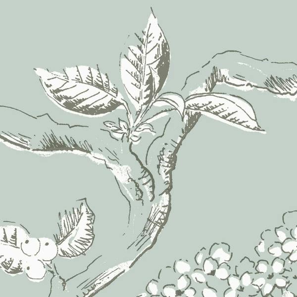 Laura Ashley Elderwood Wallpaper - Duck Egg Blue - 10m