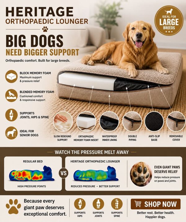Snug and Cosy Pets Heritage Tweed Orthopaedic Pet Lounger - Comfort & Support