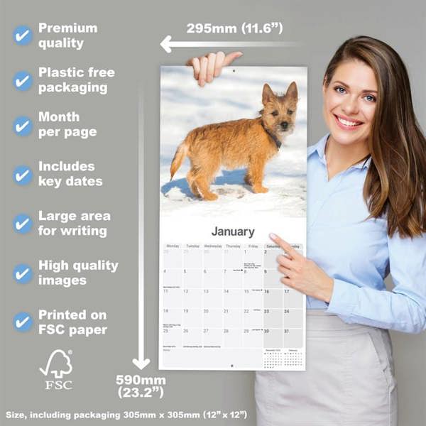 Cairn Terrier Calendar 2027, Wall Calendars, Month To View, Dogs, Gift