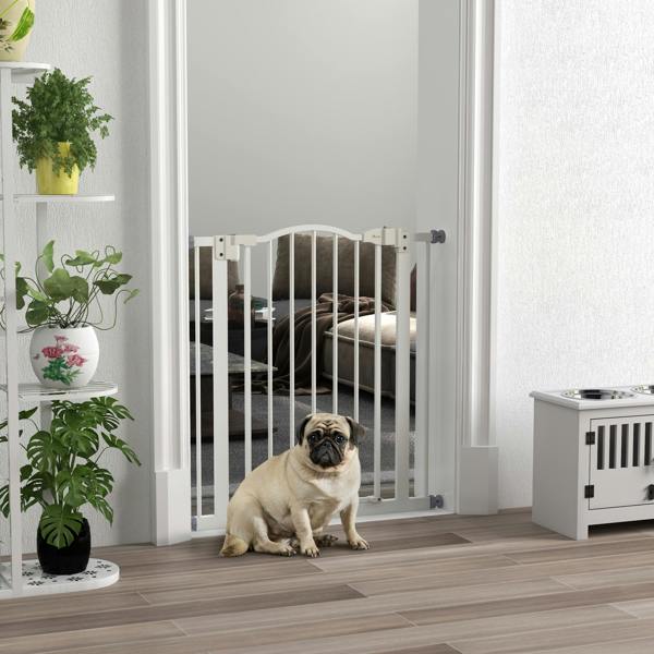 Pet Gate