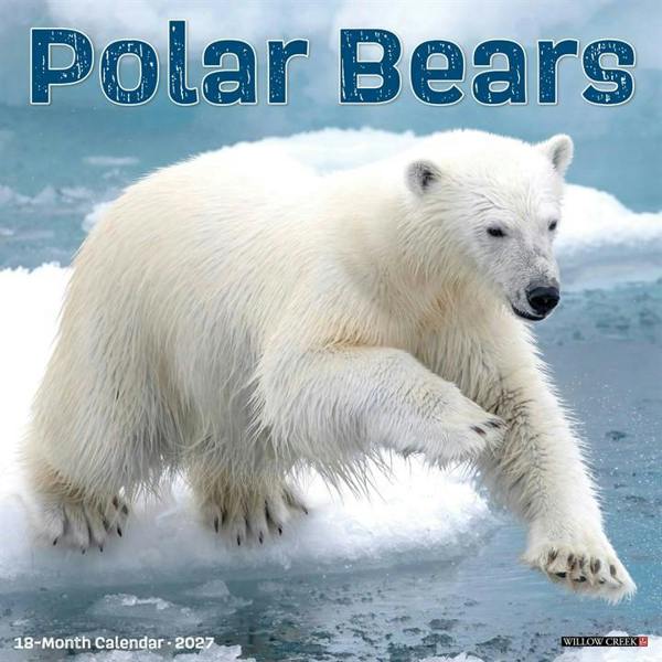 Polar Bears Calendar 2027, Wall Calendars, Month To View, Animals, Gift
