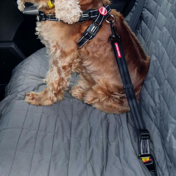 EzyDog Click Dog Seatbelt