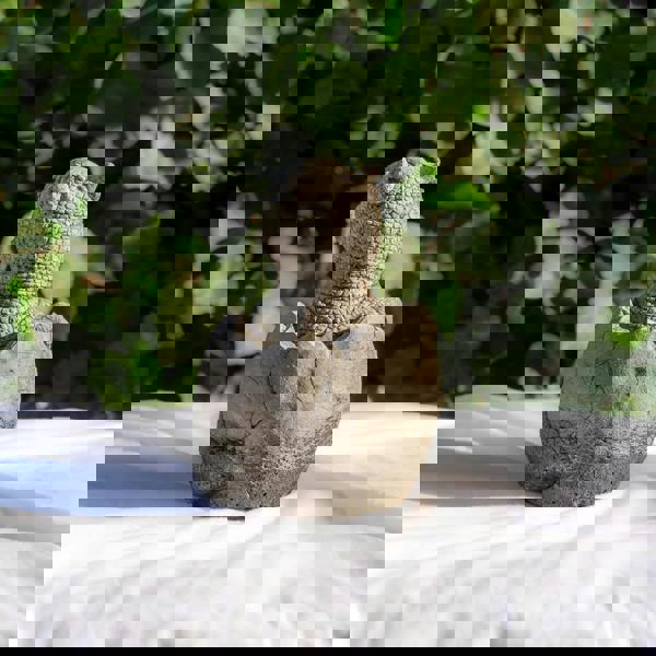 Small Stone Cast Baby Pachyceph Dinosaur Garden Sculpture