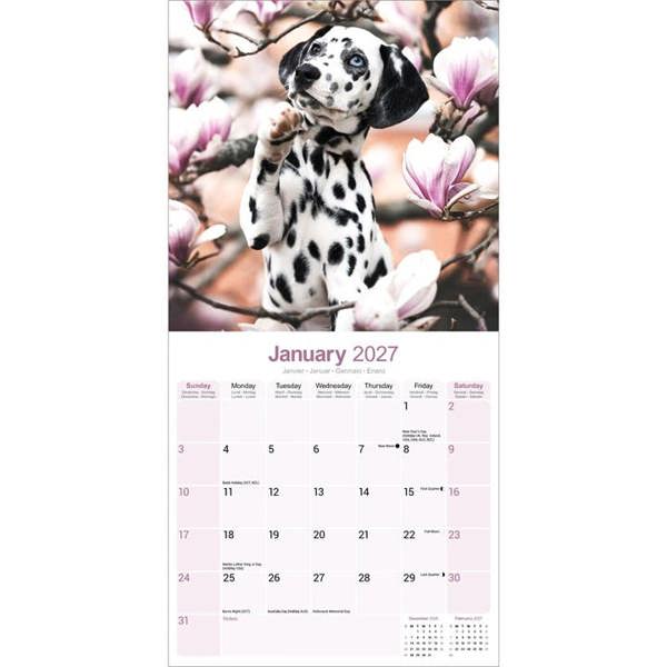 Dalmatian Puppies Calendar 2027, Wall Calendars, Month To View, Dogs, Gift