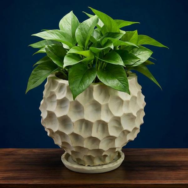 Sculpted Concrete Planter with Leaf Texture with greenery view