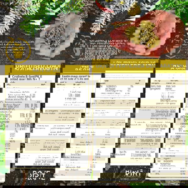 Bronte Heritage Multipurpose Tablets 12pcs – 9-month controlled-release fertiliser with NPK & magnesium for baskets, pots & garden beds