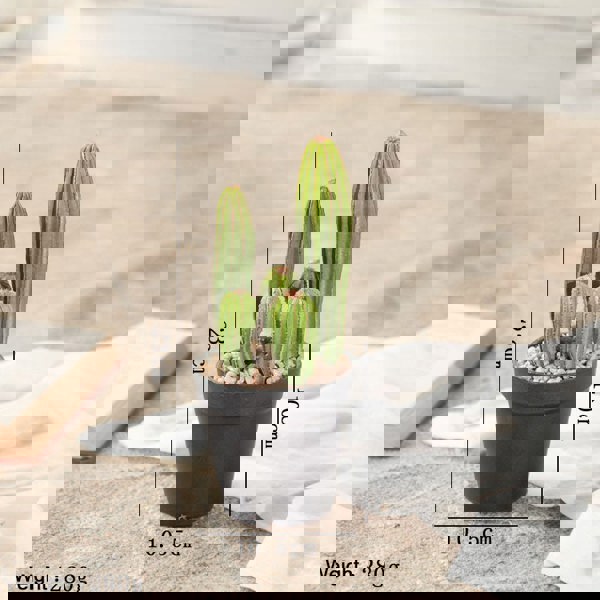 TU18 Artificial Plant-Weilai Concept-14-Weilai Concept