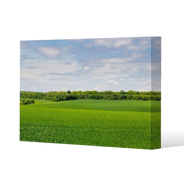 Benjamin Tate Design Summer landscape with hilly green field and forest in the distance Slim Style Canvas Print  30x40cm , 15mm Slim Real wood.