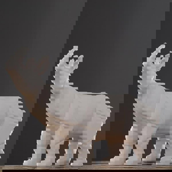 Decoration: Rhinoceros-Weilai Concept-Weilai Concept