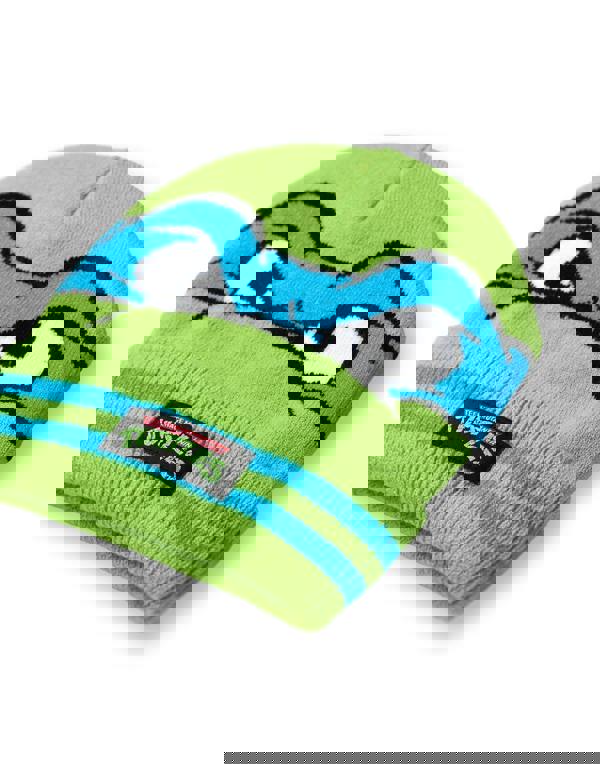 Teenage Mutant Ninja Turtles Boys Green Novelty Face Beanie and Gloves Set (One Size)