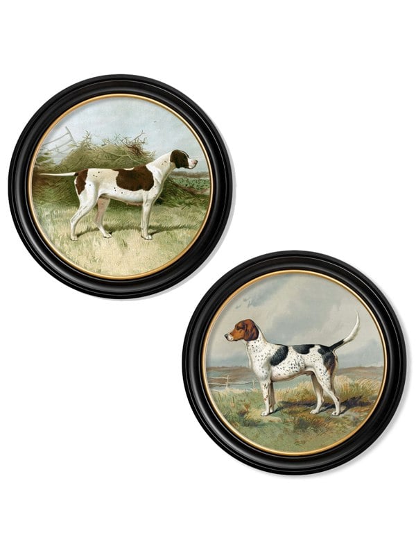 Exceptional Art c.1881 Gun Dogs - Round Frame