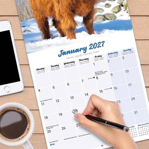 Highland Cows Calendar 2027, Wall Calendars, Month To View, Animals, Gift