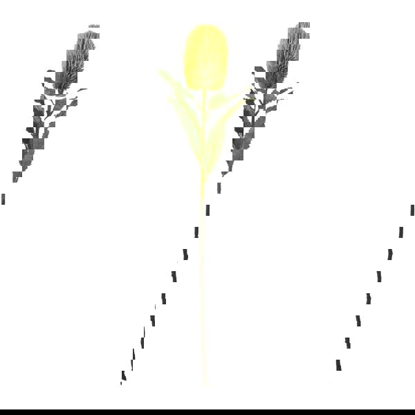 Hill Interiors Banksia Serrata Artificial Flower - Green - 