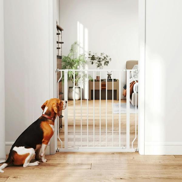 White dog gate with vertical bars, blocking stair landing area with pet dog nearby