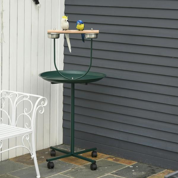 Bird Stand