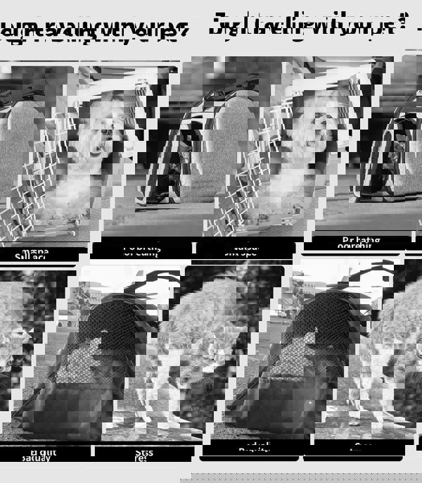 Skylos Pet Car Booster Seat Dog Protector Portable Bed Removable Dark Grey M