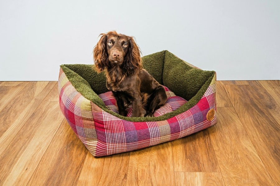 Snug and Cosy Pets Highland Mulberry