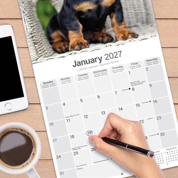Dachshund Calendar 2027, Wall Calendars, Month To View, Dogs, Gift