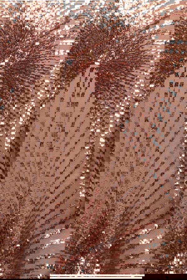 Sequin Starburst Cape Sleeve Top - Champagne T224