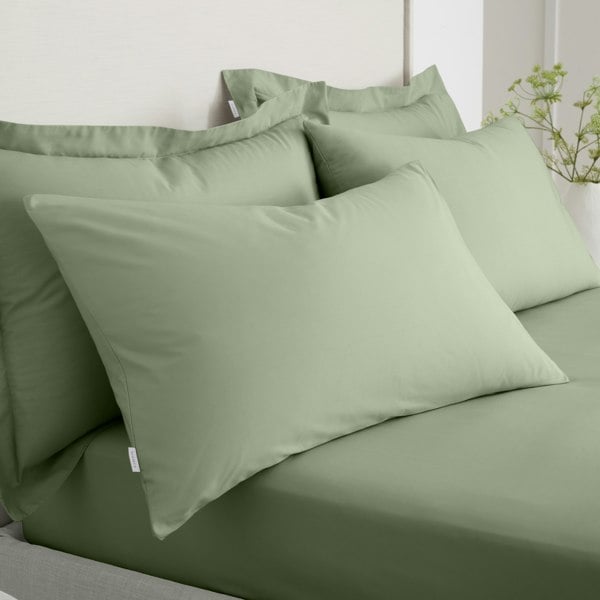 Bianca 200 Thread Count Cotton Percale Standard Pillowcase Pair - Green