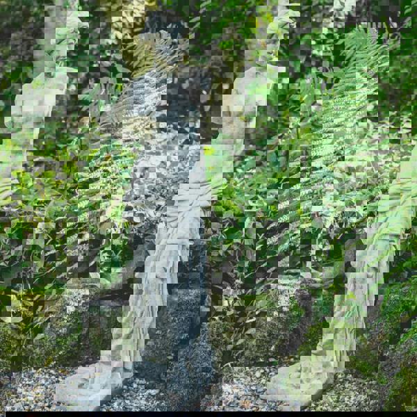 Medium Venus Style Classic Stone Cast Garden Ornament Statuary