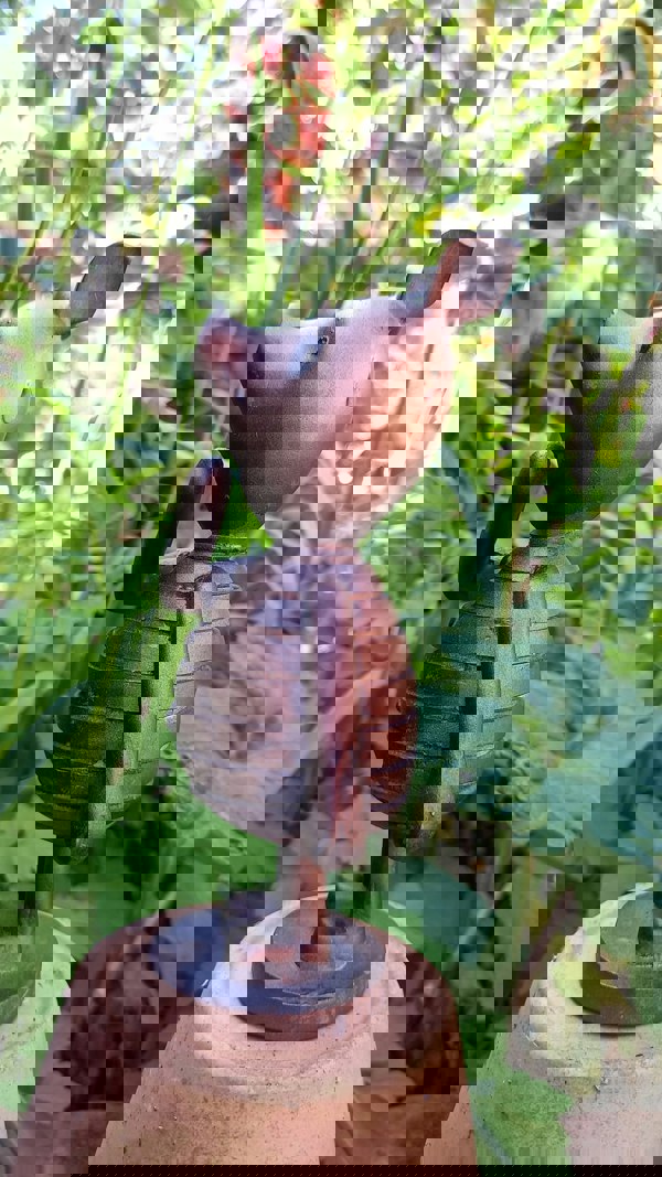 Inspirational Gifting Piglet Garden Sculpture Ornament Decor