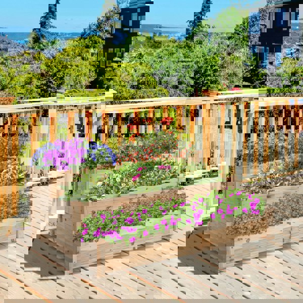 Garden Bed