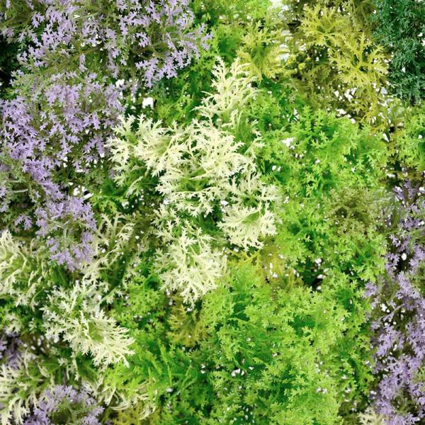 Light Green Moss Wall Panel 1m x 1m – Artificial Living Wall Detail