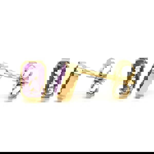 Say It With February Amethyst Birthstone Earrings - Yellow Gold Plated