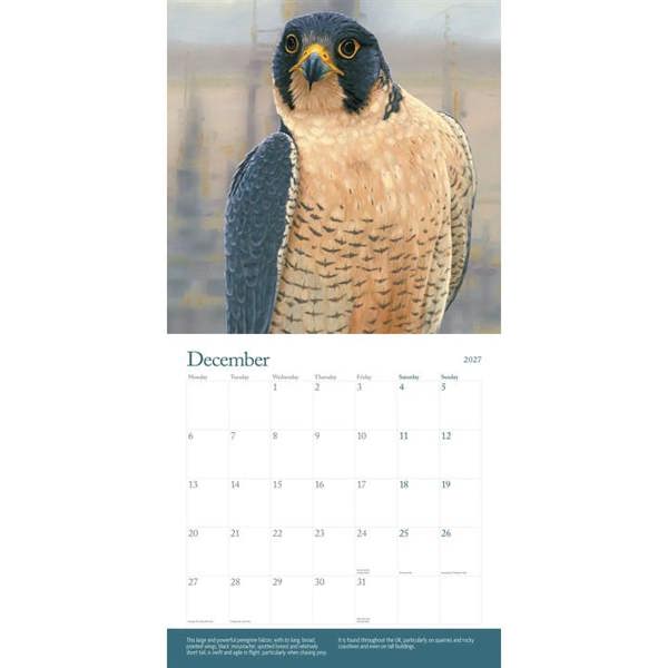 Robert Fuller, British Wildlife In Art Calendar 2027, Wall Calendars, Month To View, Animals, Gift