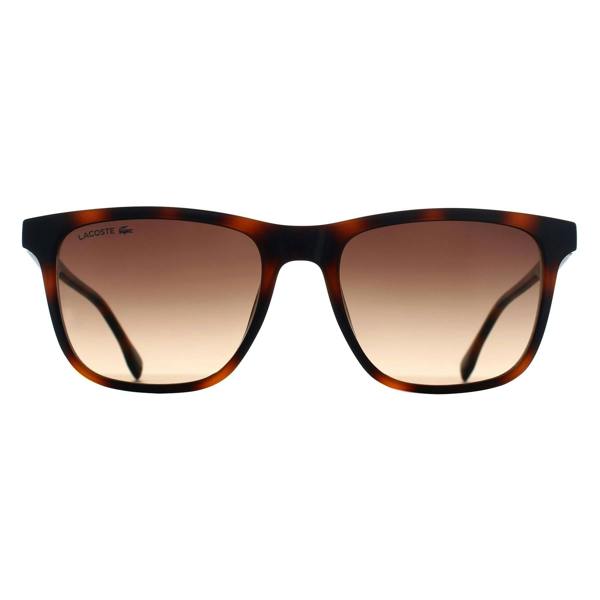 Lacoste Sunglasses L6041S 214 Havana Brown Gradient