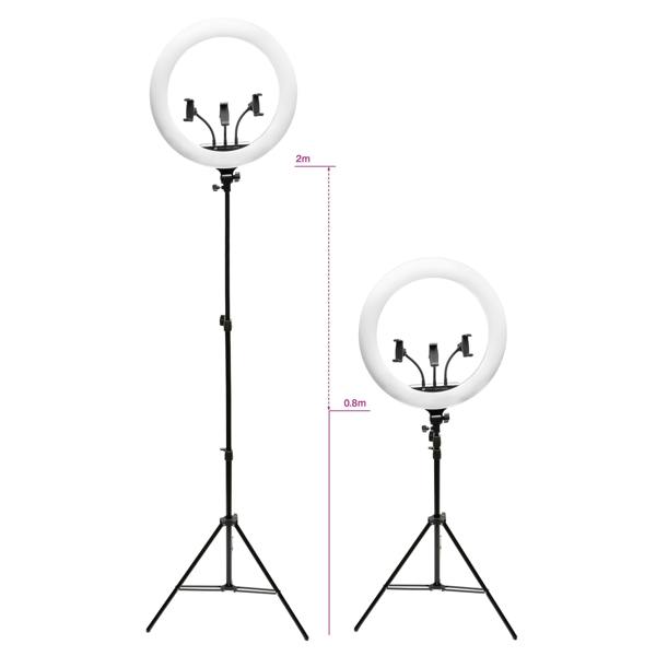 Two Rio Professional Makeup & Vlogging 18-inch Dimmable LED Ring Lights with phone holders are shown on tripods, one 2m and the other 0.8m tall, both featuring circular white LEDs for studio-quality lighting.
