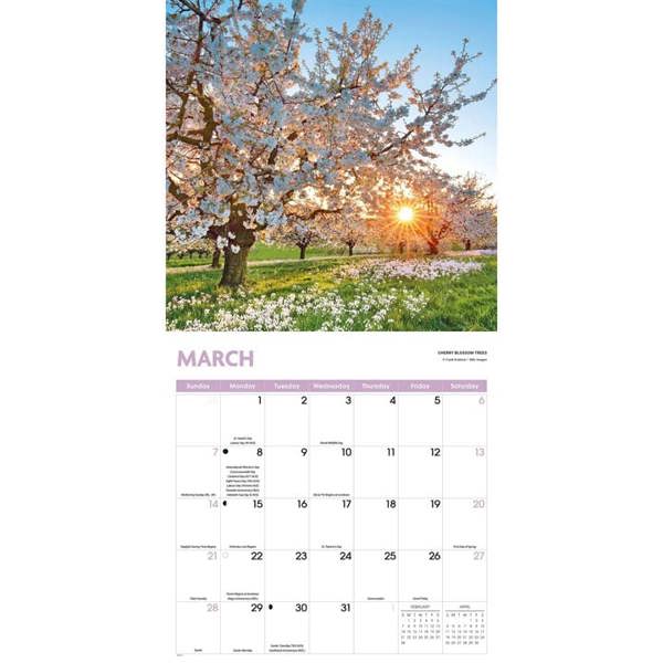 Trees Calendar 2027, Wall Calendars, Month To View, Natural World, Gift