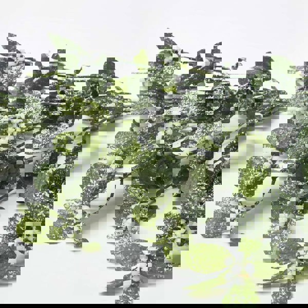 HOMESCAPES Artificial Green Mistletoe Stem