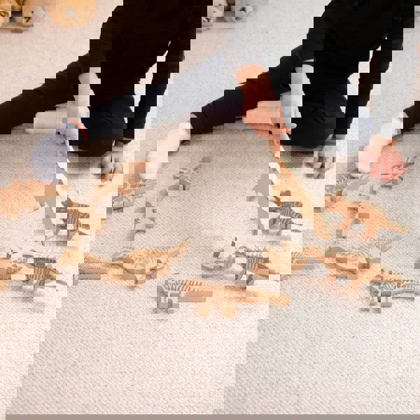 tickit Wooden Dinosaur Blocks