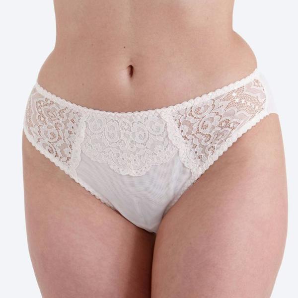LW Brief Lizzie