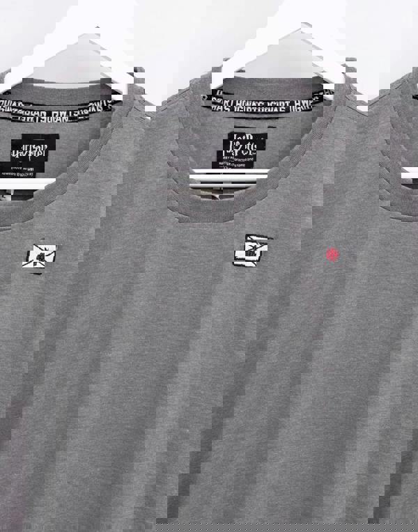 Harry Potter Womens Grey Quote Long Sleeved T-Shirt