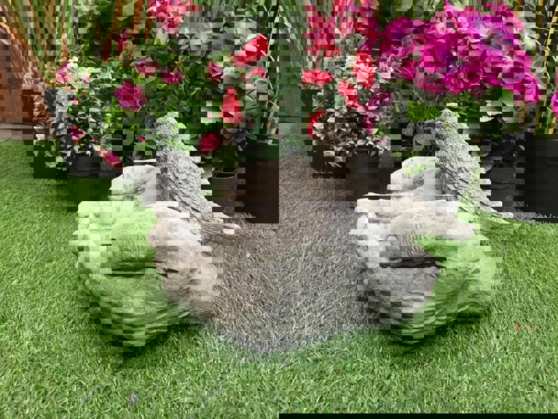 Bird in Hand Birdbath / Bird feeder