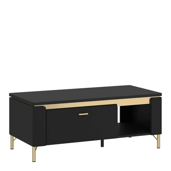 Wyld Haus Marslet Narrow Black and Gold Coffee Table 1 Drawer