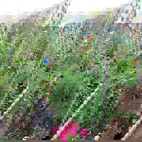 High-quality Galvanized Zinc Iron Greenhouse Hoop with Easy-Grip Clips Greenhouses Living and Home