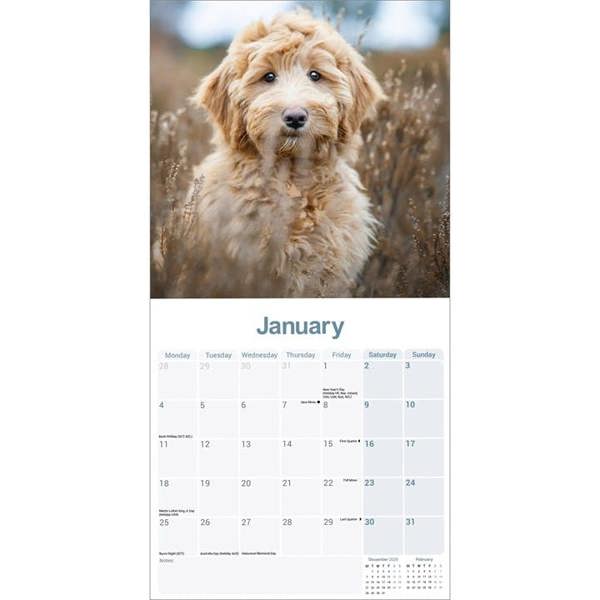 Labradoodle Calendar 2027, Wall Calendars, Month To View, Dogs, Gift