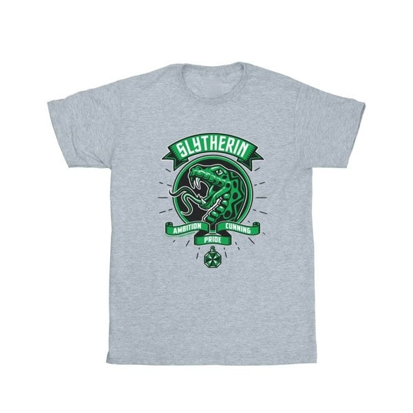 Harry Potter Boys Slytherin Toon Crest T-Shirt - Sports Grey