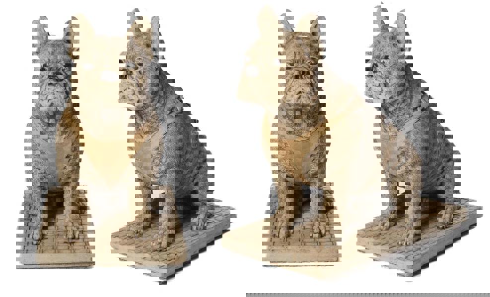 Pair of Life Size French Bulldog Statues