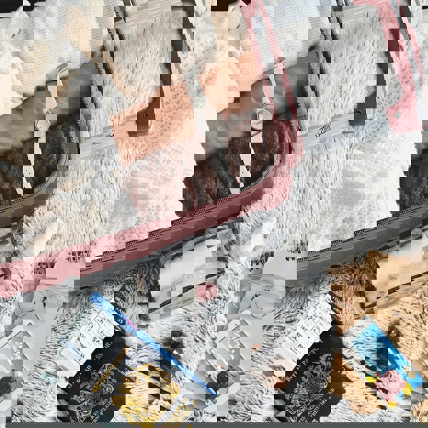 Flight Knight 40x20x25cm Ryanair Free Underseat Cabin Carryon Suitcase 100+ Airlines