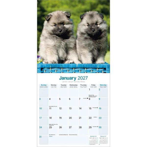 Keeshond Calendar 2027, Wall Calendars, Month To View, Dogs, Gift