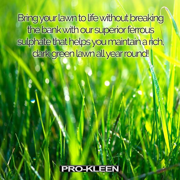 ProKleen Pro-Kleen Iron Sulphate 1 KG PREMIUM Ferrous Pure Lawn Tonic- Lawn Conditioner and Turf Hardener. Damp Grade