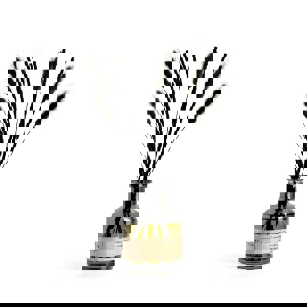 CAHM Amalfi Coast Reed Diffuser - Black